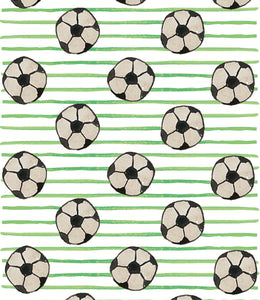 Soccer Minky Blanket